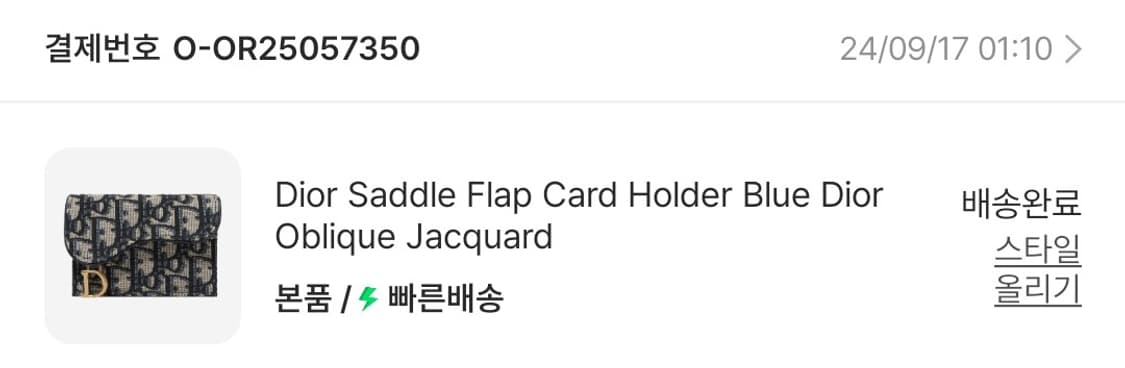 디올 새들 카드지갑 상품이미지5