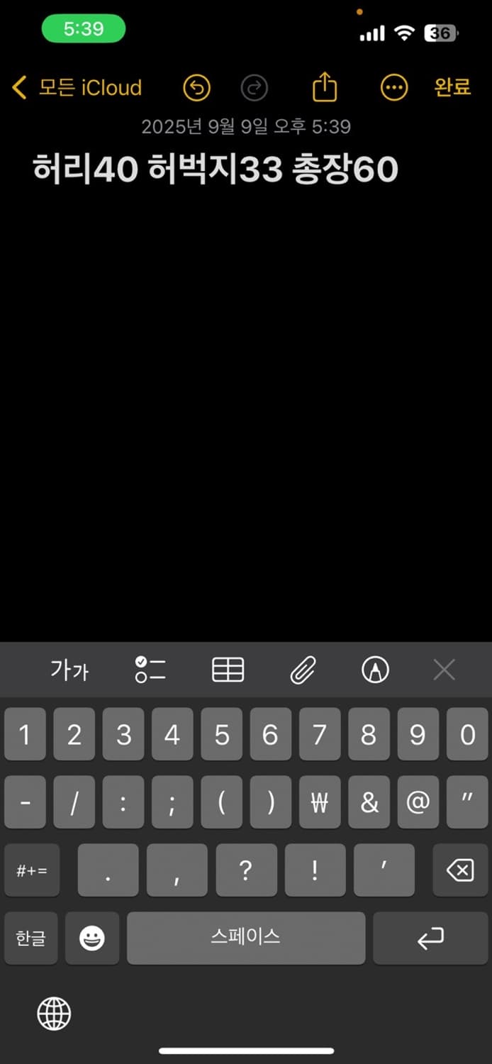 카고 반바지 상품이미지6