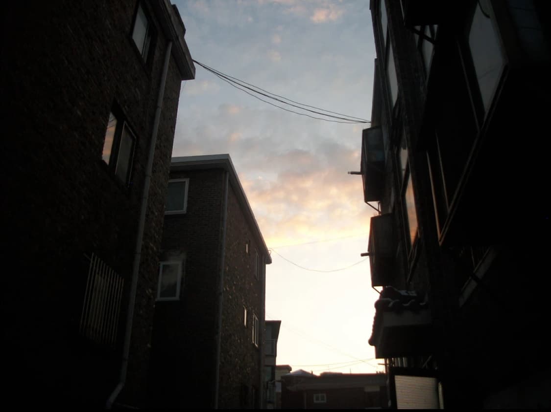 HP photosmart M22 빈티지 카메라 상품이미지10