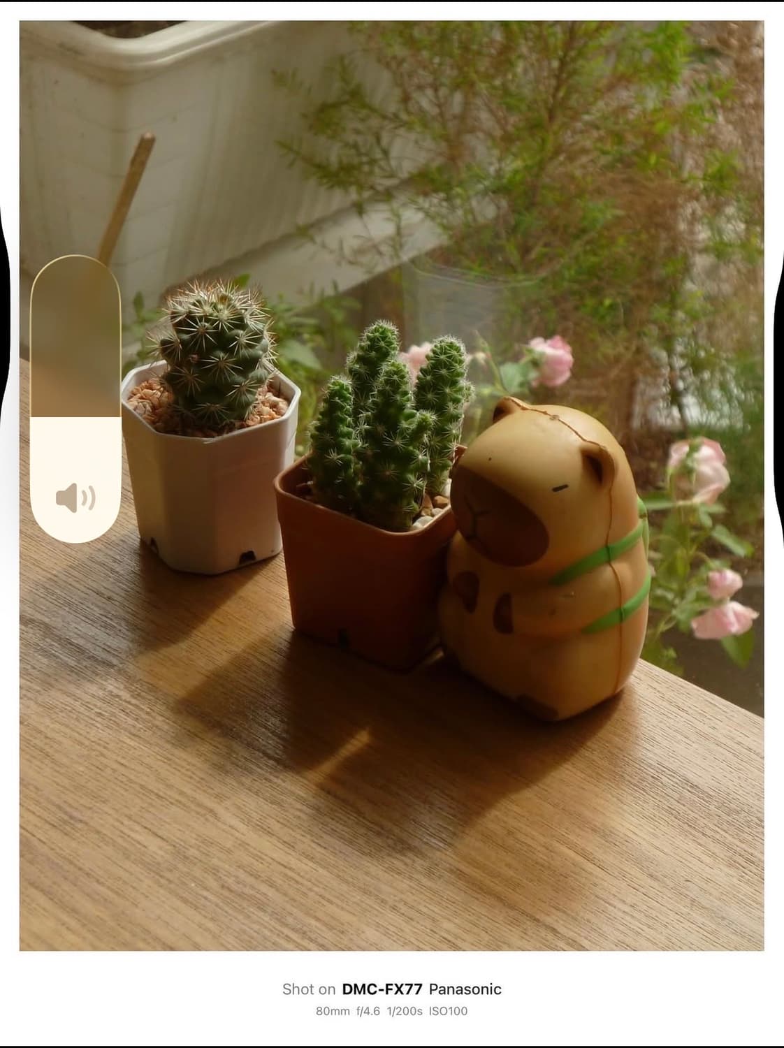 ✨미품✨ Panasonic LUMIX 루믹스 FX77 디지털 카메라 상품이미지10