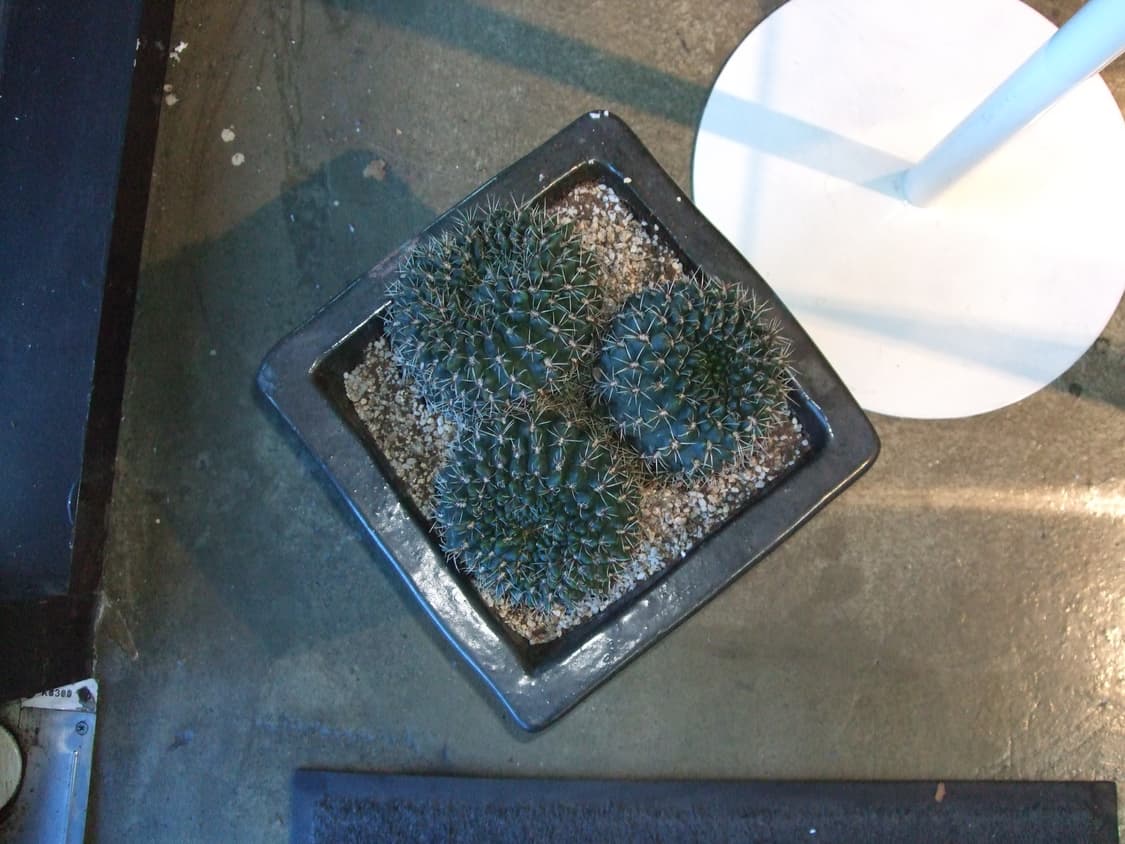 풀박/민트급)후지필름 파인픽스 f60fd 빈티지디카 상품이미지10