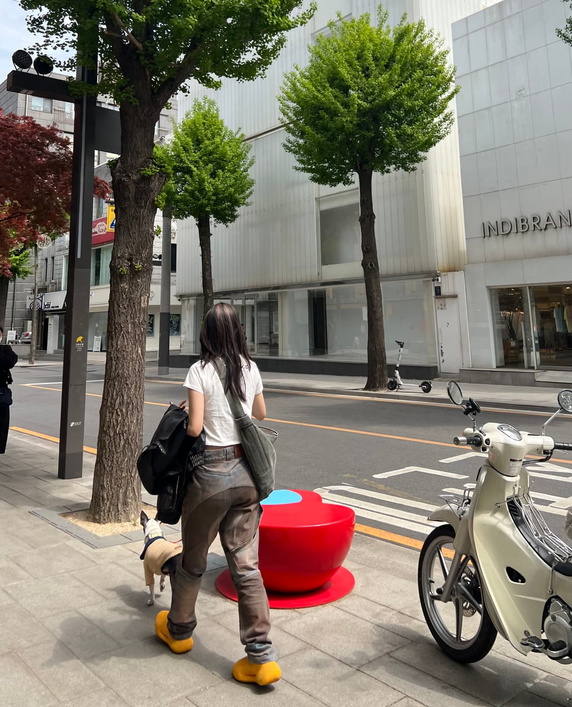 Barragan 바라간 브라운 스파이럴 컷아웃진 25사이즈 상품이미지5