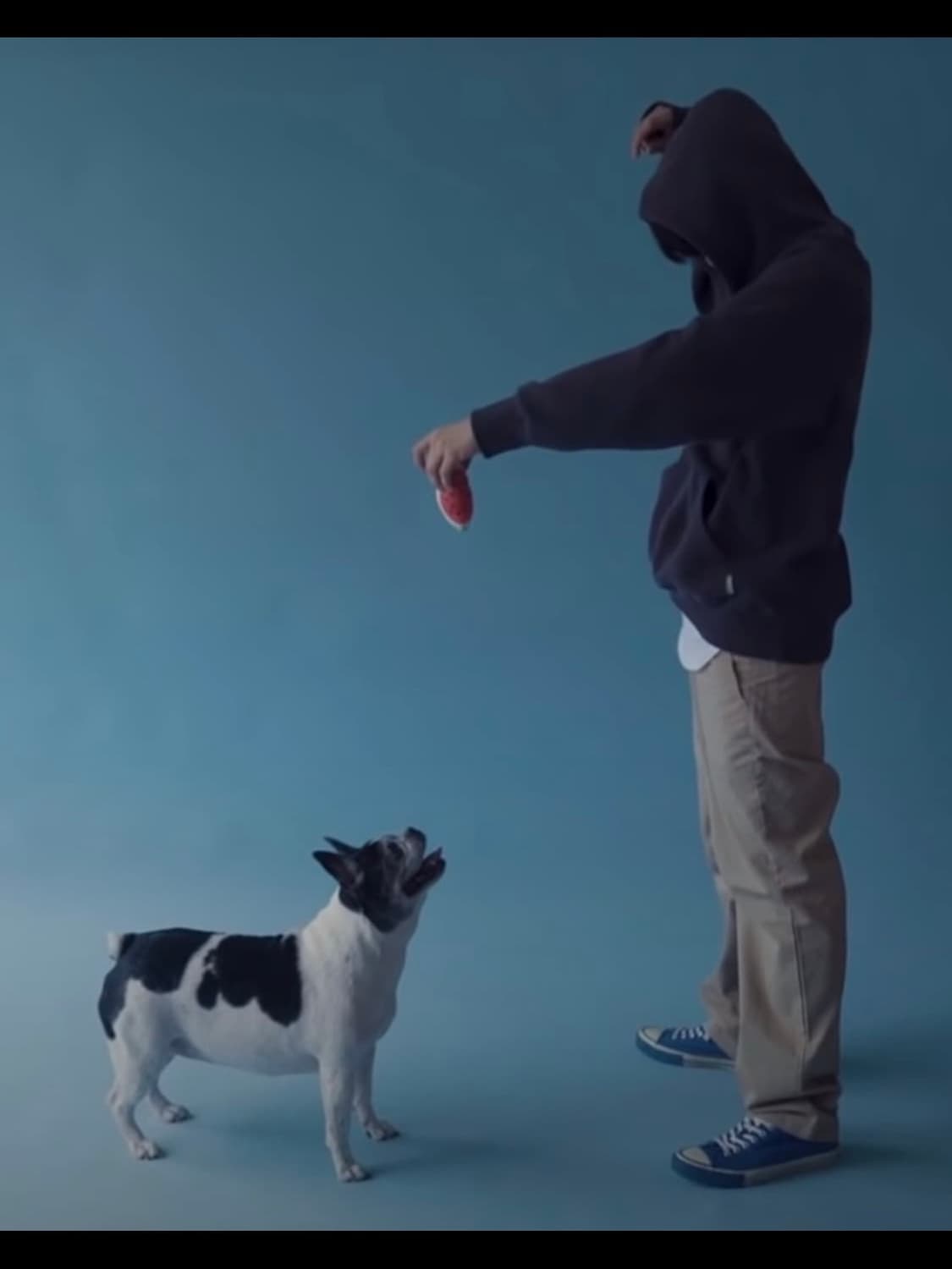 언더커버 캔버스 스니커즈 S(260) 상품이미지9