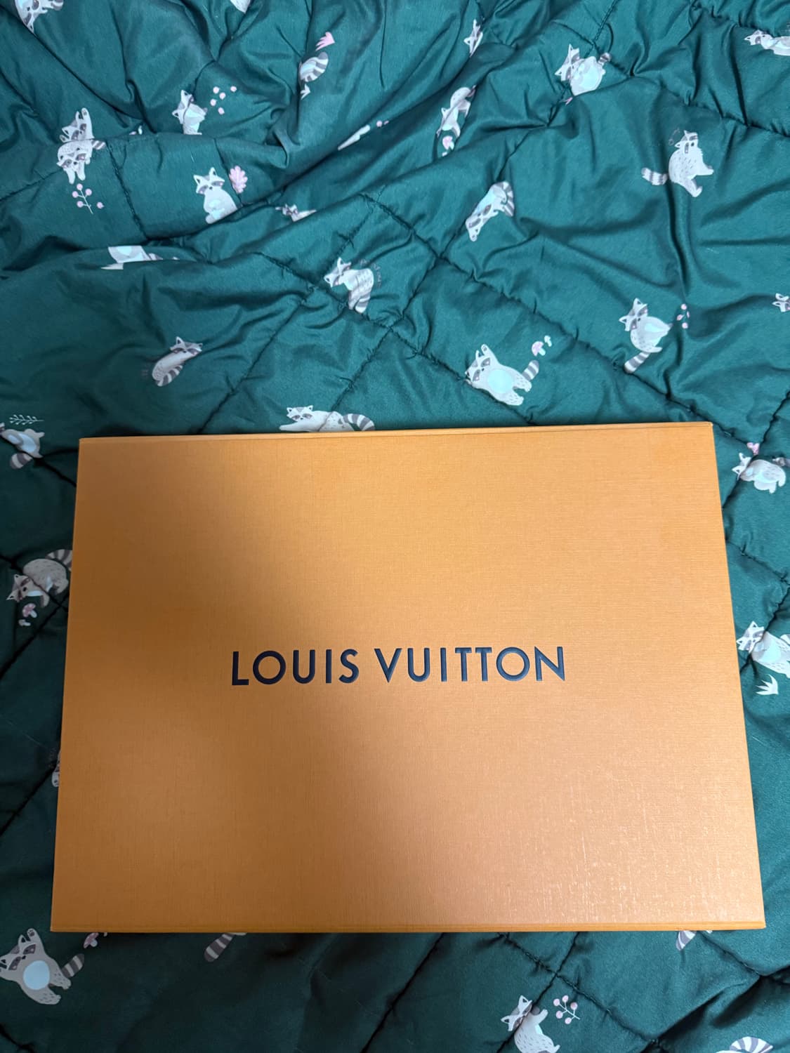 루이비통 에튀보야주 MM 클러치 완전 풀구성 상태굳 판매합니다 상품이미지6