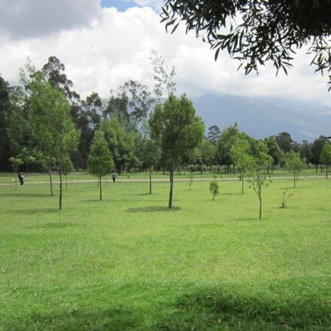 ​📸  풀박스 ✨ 캐논 PowerShot A2200 실버 [영어지원]  상품이미지8