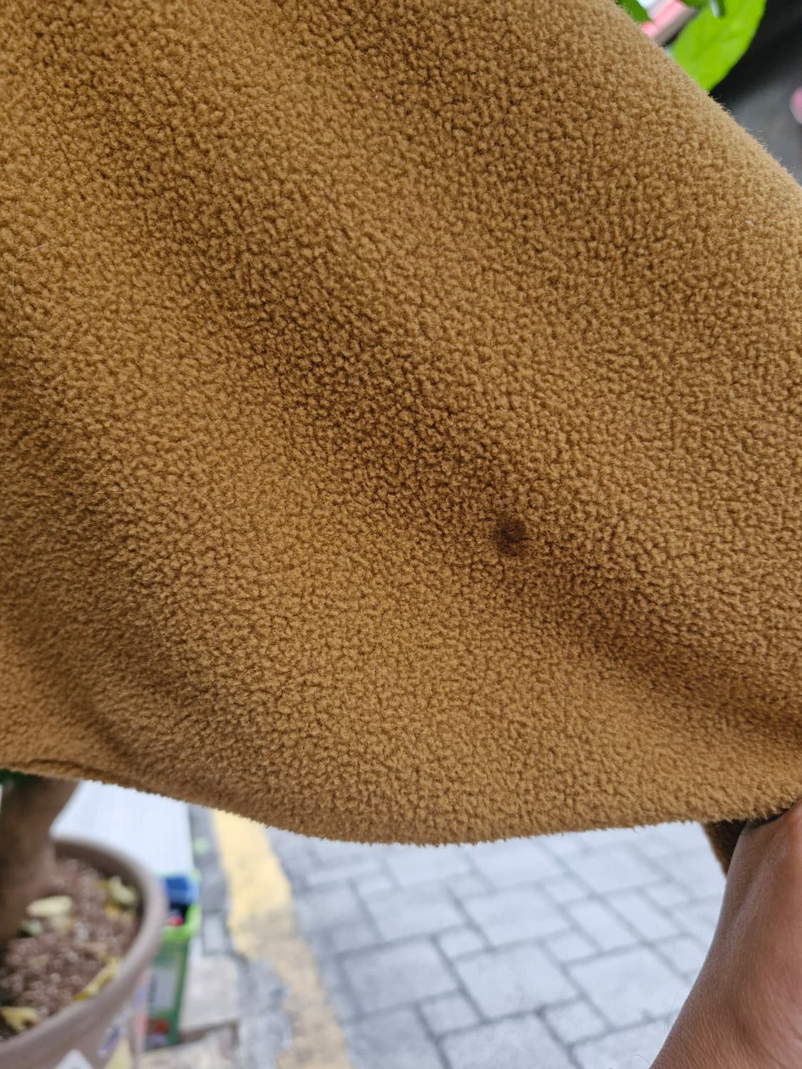 Z-104 파타고니아 신칠라  상품이미지5