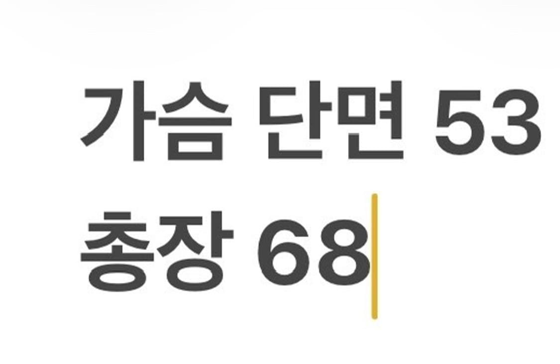 [정품/L] 세인트제임스 스트라이프 긴팔 티셔츠 b10 상품이미지7