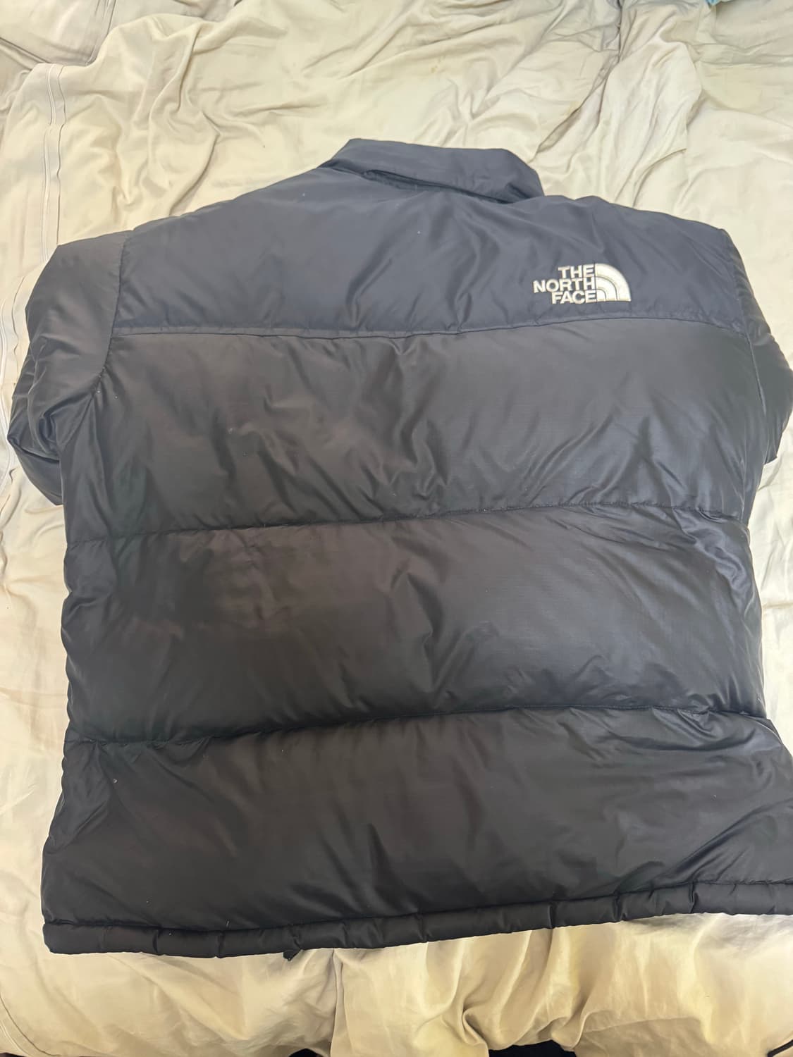 눕시 에코 1996 XL 팝니다 상품이미지3