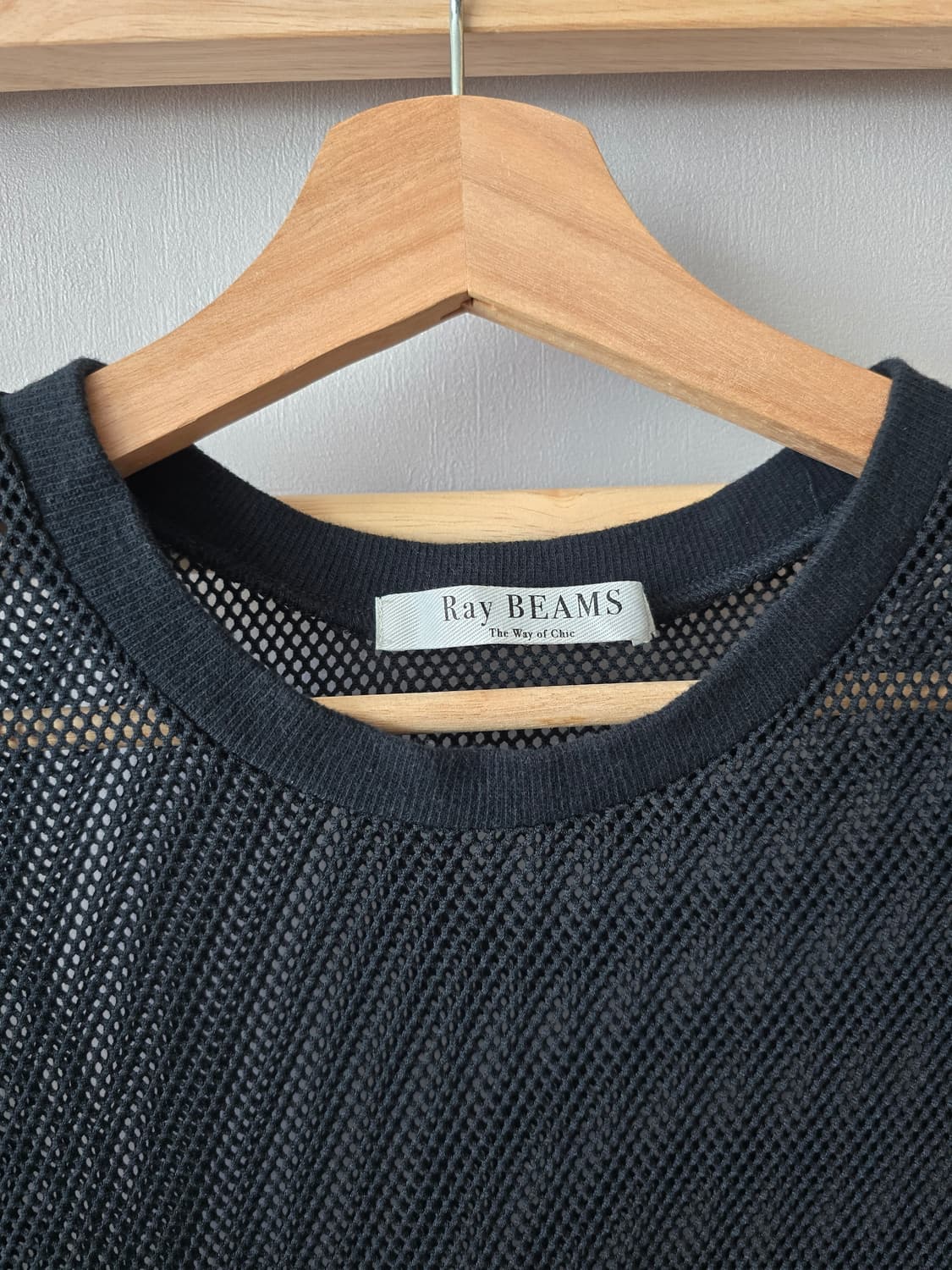 Ray BEAMS Mesh Layered Dress 상품이미지4