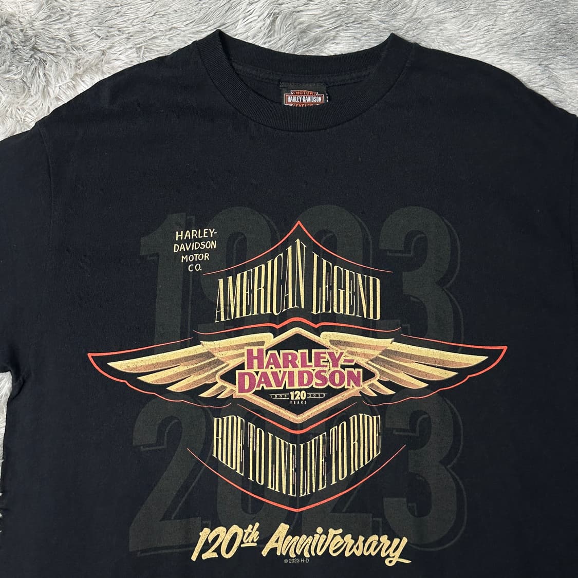 할리데이비슨 120주년 기념 반팔 블랙 상품이미지2