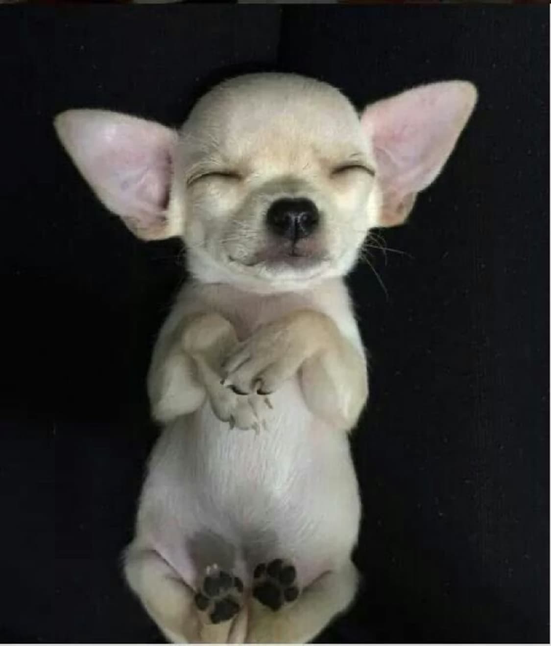 결제창 상품이미지1