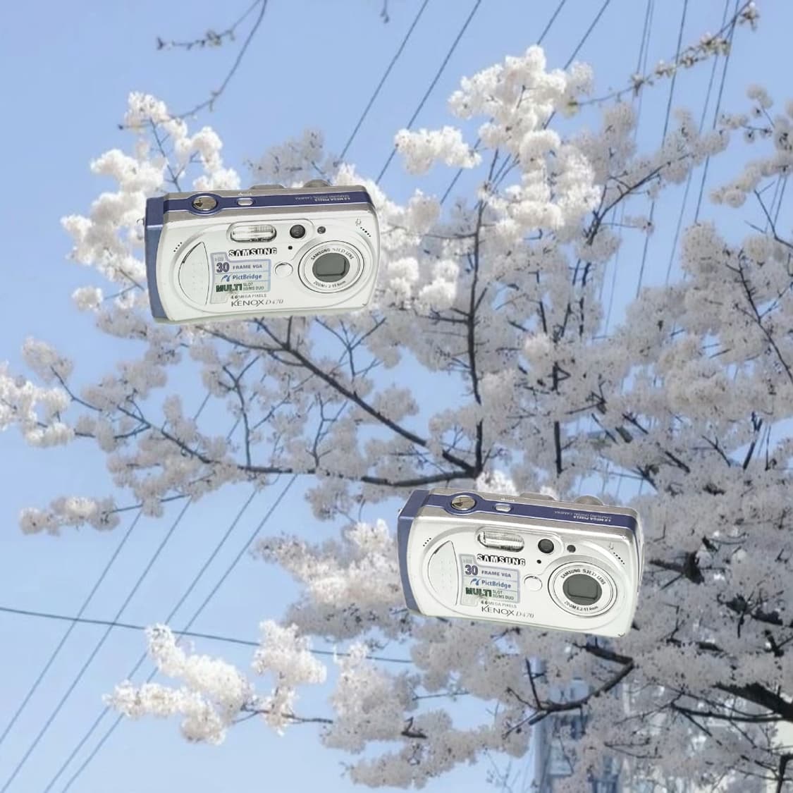 입문!)Schneider x SamsungD470디카 상품이미지1