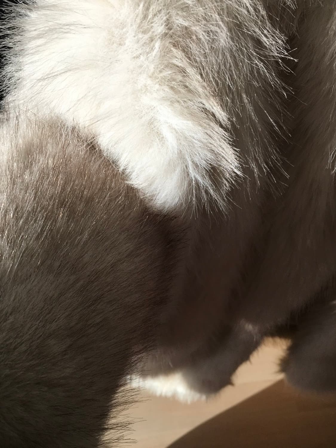 리본빛 퍼 상품이미지3