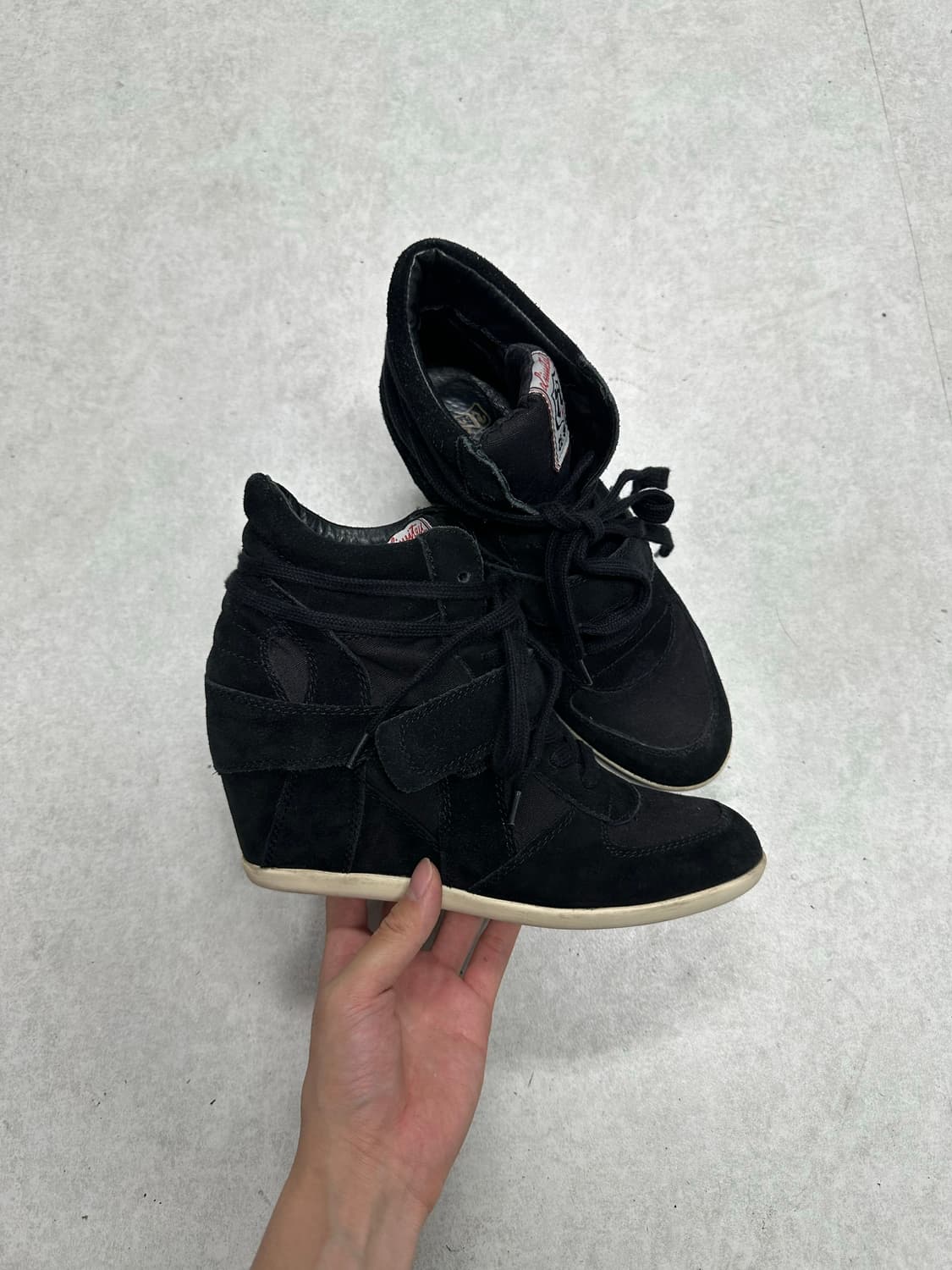 Ash 아쉬 보위 웨지힐 [40] 상품이미지5