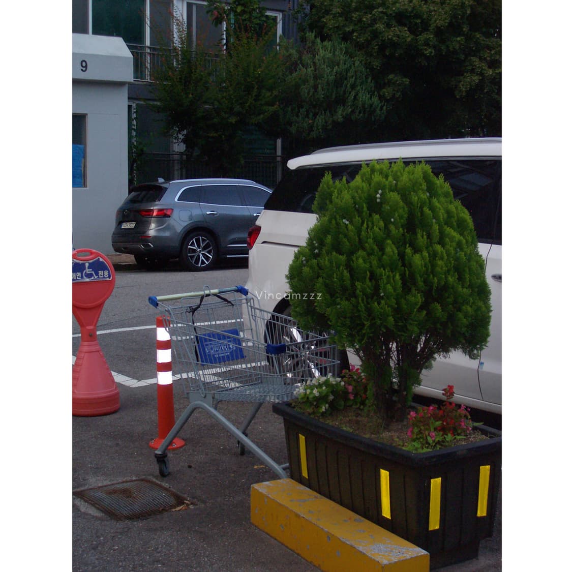 Kodak 코닥 EasyShare CW330 디카 상품이미지9