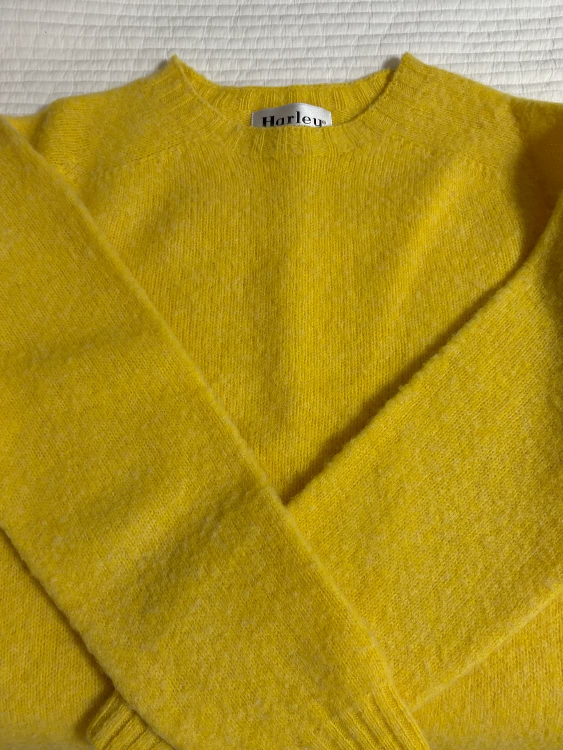 할리 오브 스코틀랜드 쉐기독 s 상품이미지2