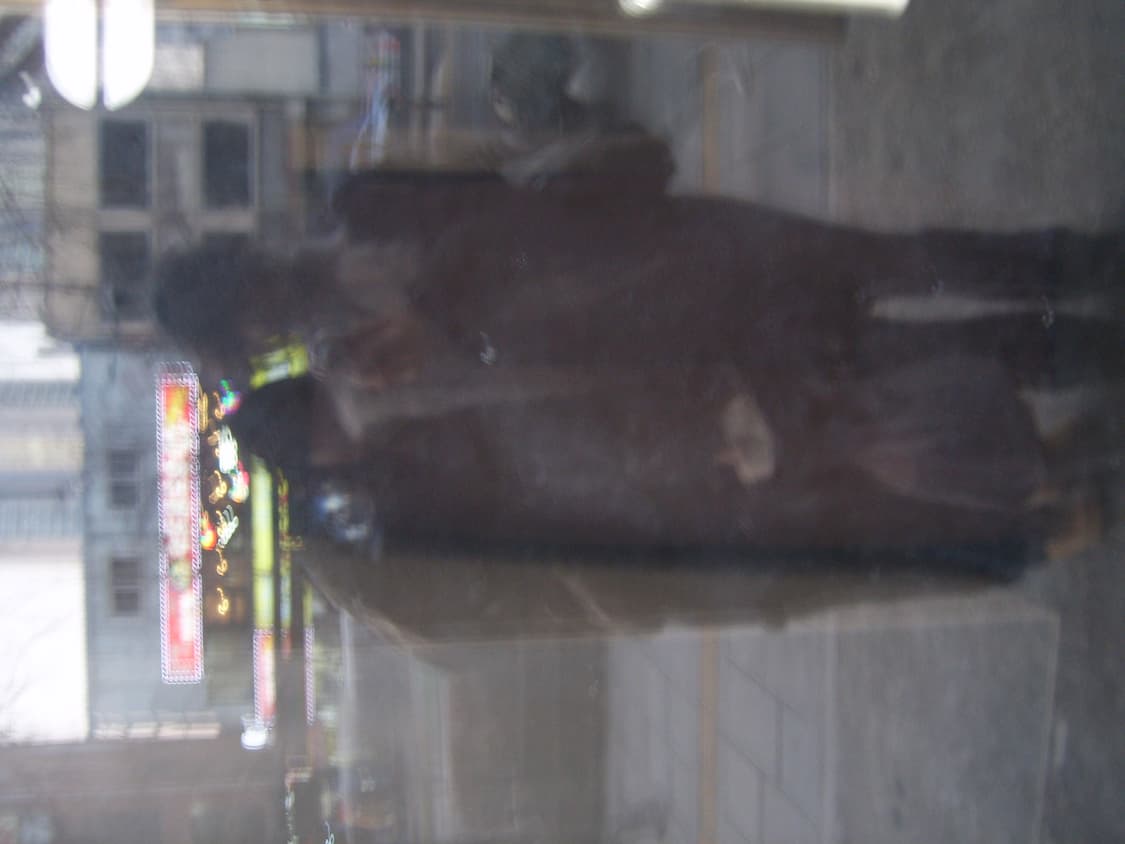 삼성 케녹스 v10디카 상품이미지3