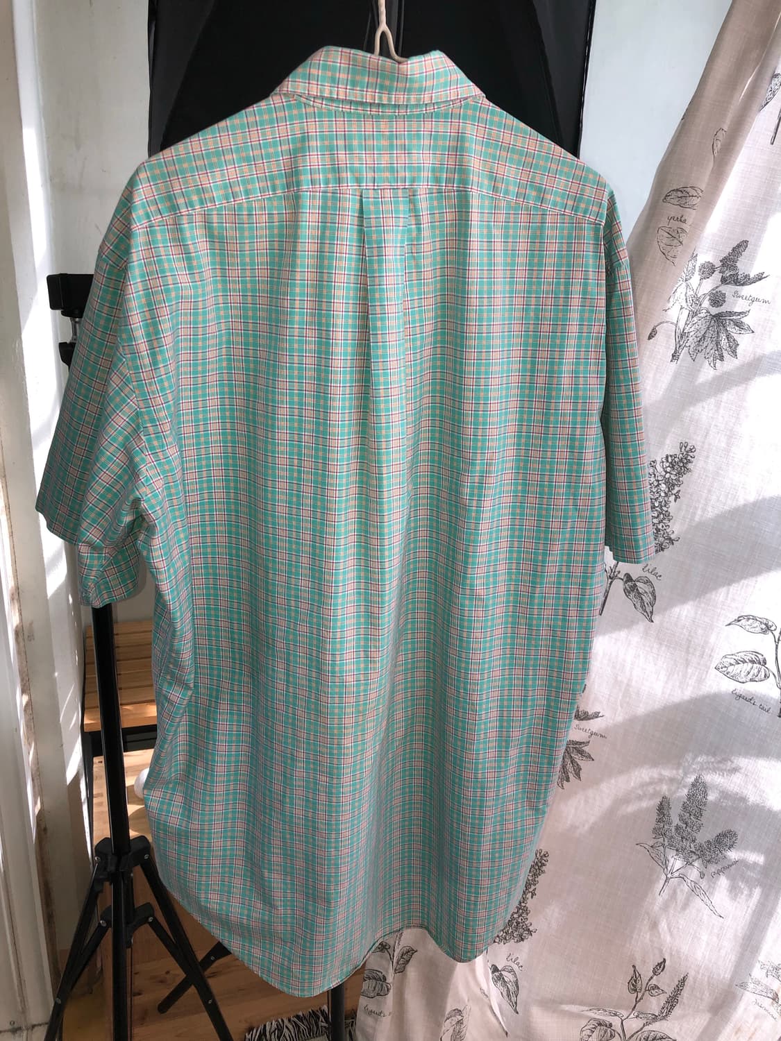 Polo pistachio  상품이미지6