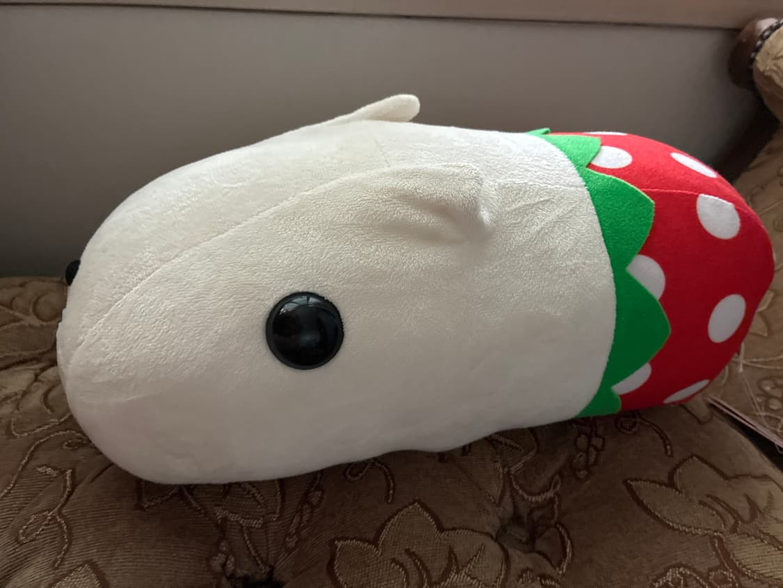 딸기 빤쮸 카피바라상 화이트상 중형 인형  상품이미지1