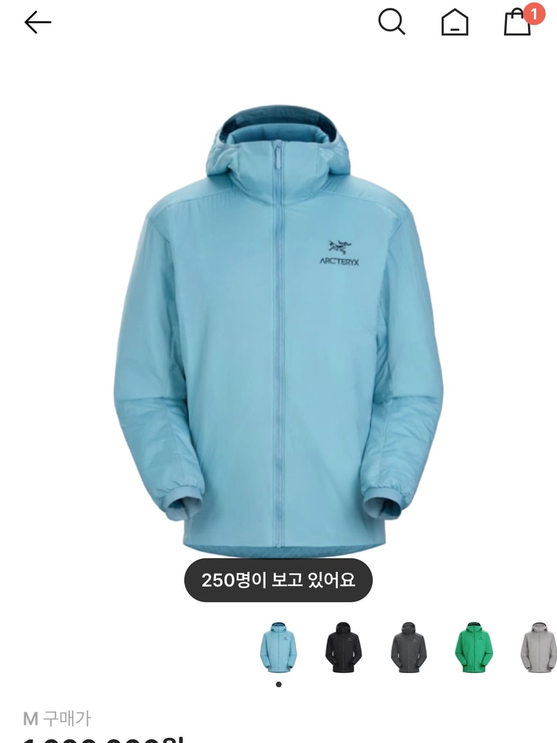 아크테릭스 아톰 LT 후디 솔레스 M 상품이미지1