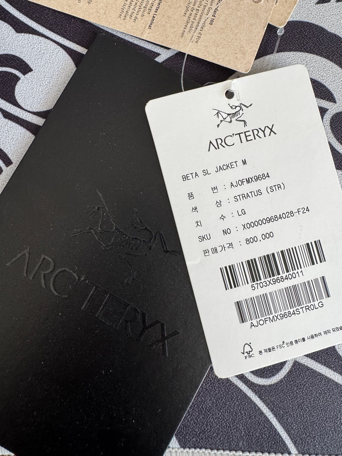 아크테릭스 베타 sl 스트라터스 L 상품이미지5