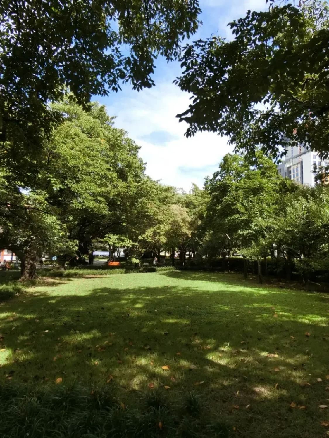 카시오 엑슬림 EX-Z270 빈티지디카 디지털카메라 상품이미지4