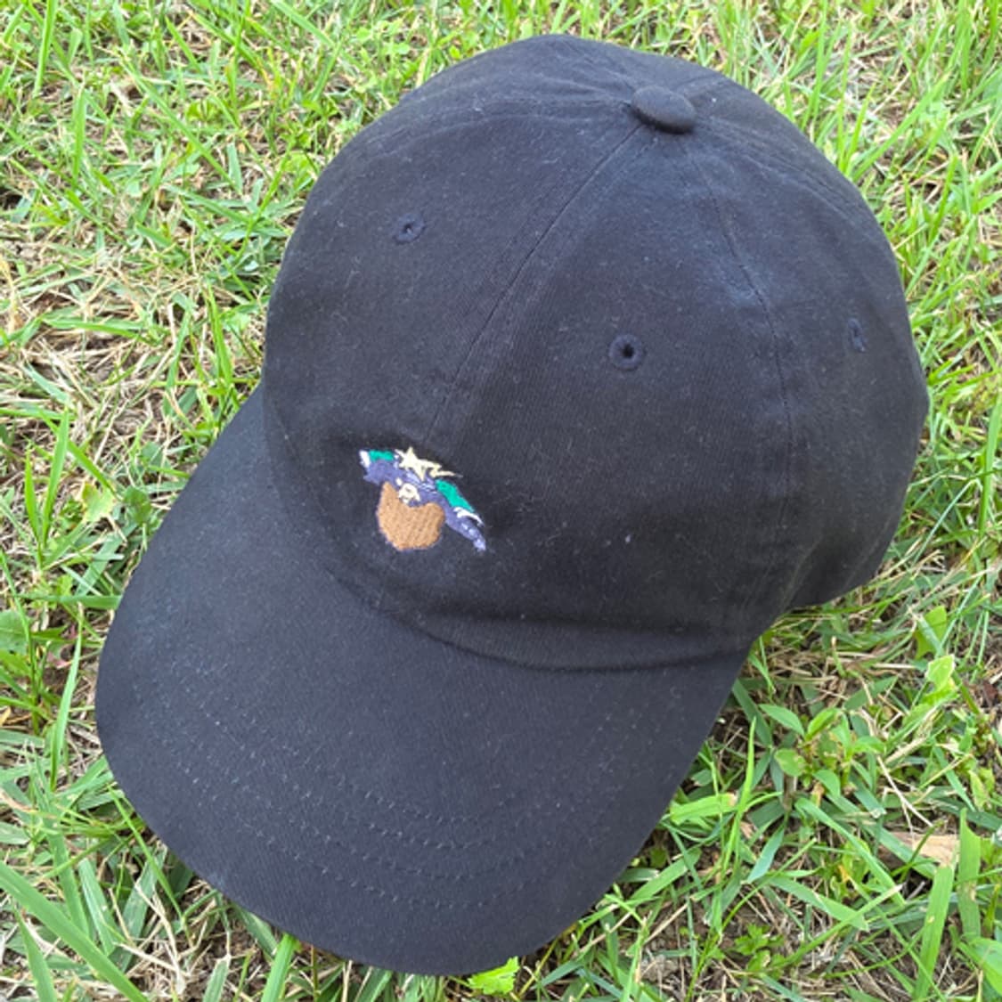 A BATHING APE 볼캡(Kyoto) 상품이미지2