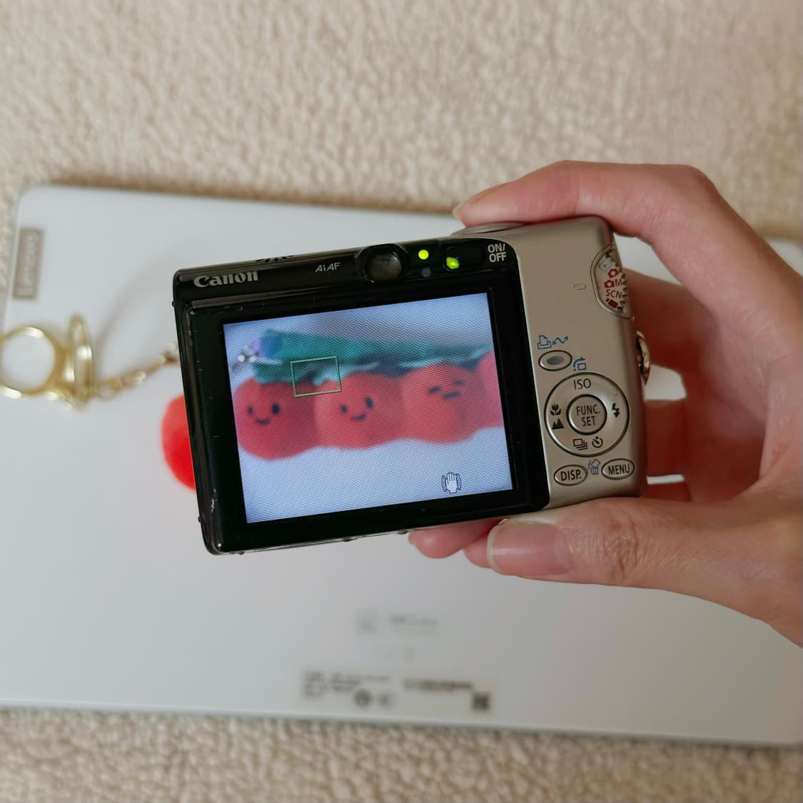 캐논 Canon IXY 800 IS /IXUS 800 IS 빈티지 디지털 상품이미지3