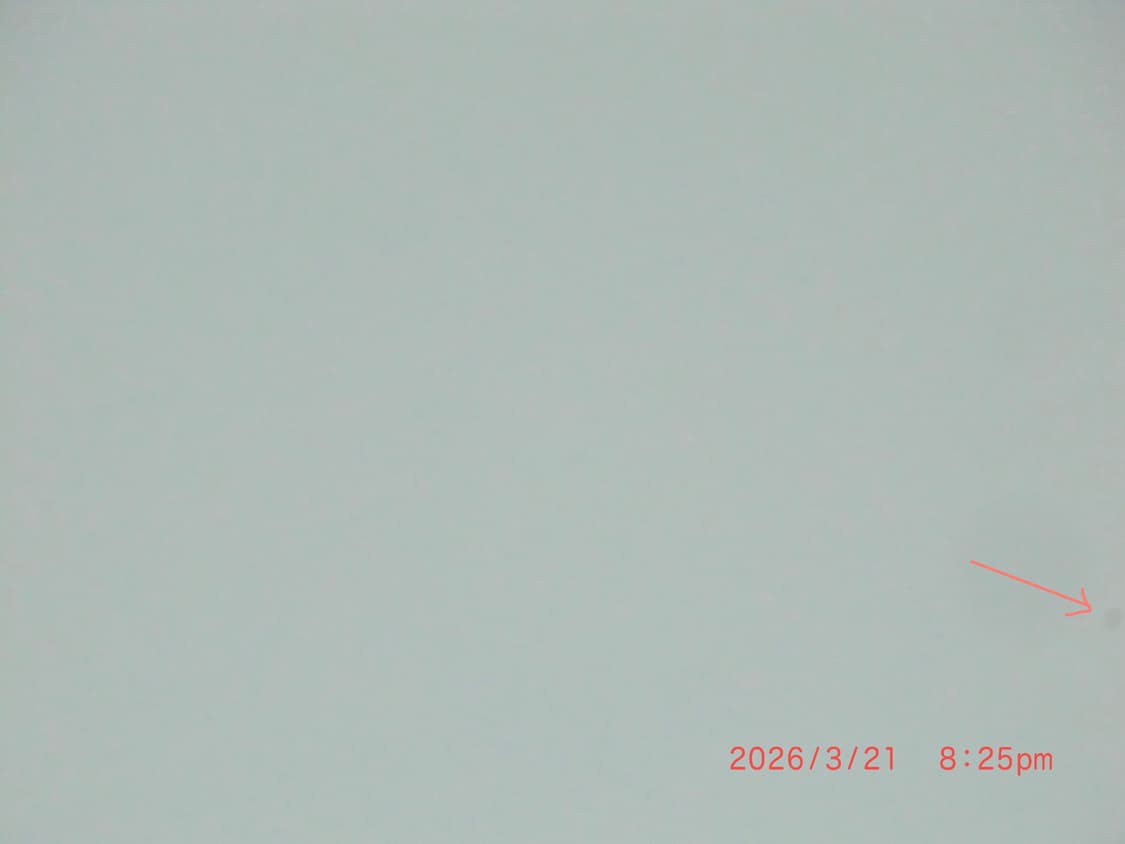 카시오 엑슬림 H10 실버 빈티지디카 상품이미지6