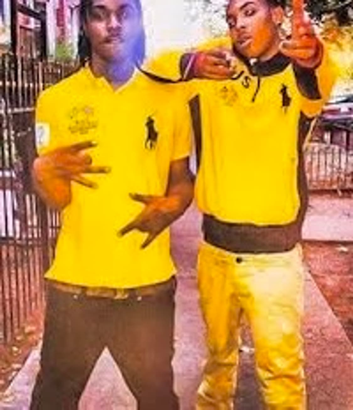 폴로 치프키프 빅포니 브라질 상품이미지1