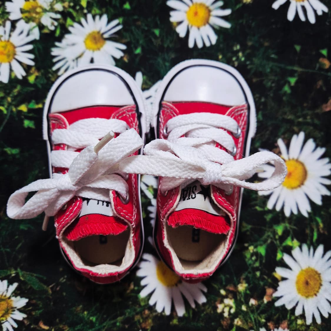 converse 컨버스 올스타 베베 11cm 상품이미지2