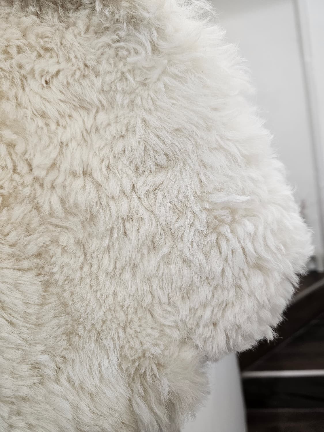 Sheepskin&Fur 라이더 자켓 상품이미지10