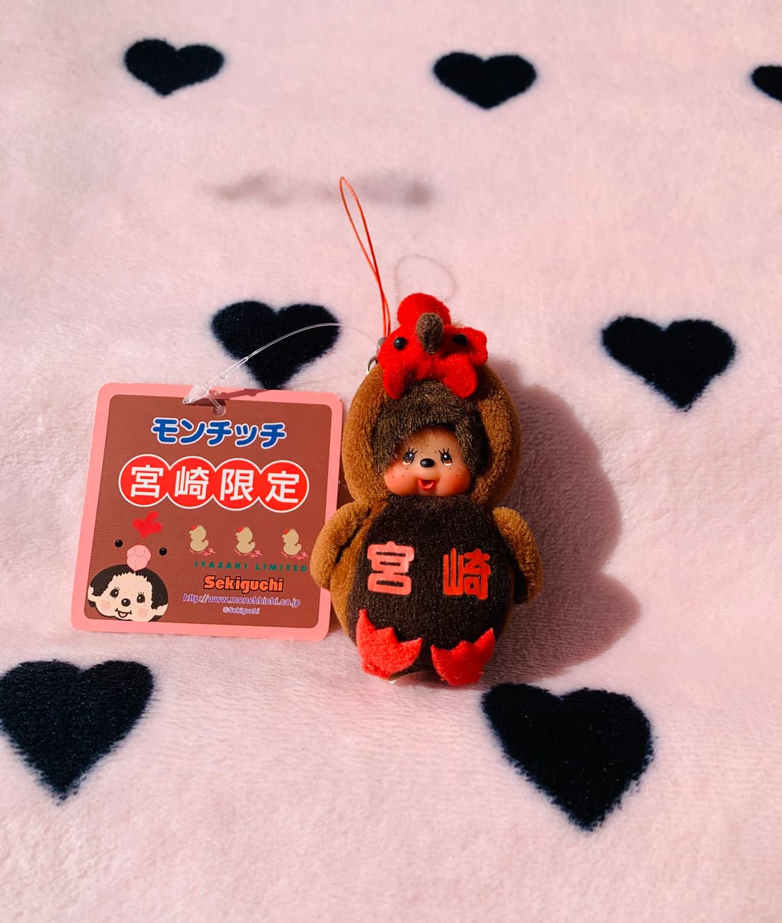 🐔초미니 나고야한정 코친 몬치치 키체인 상품이미지8