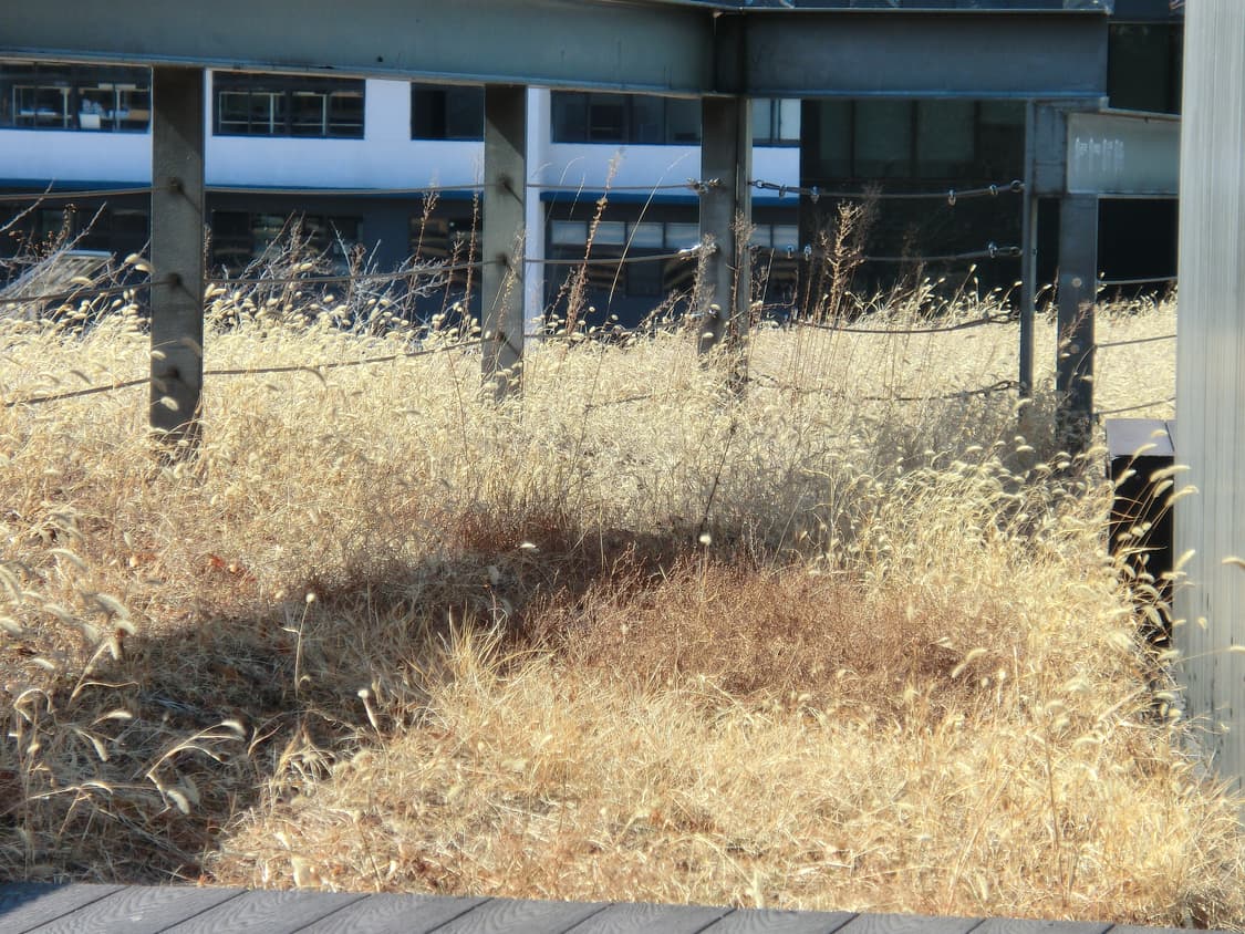 카시오 EX-ZR10 상품이미지7