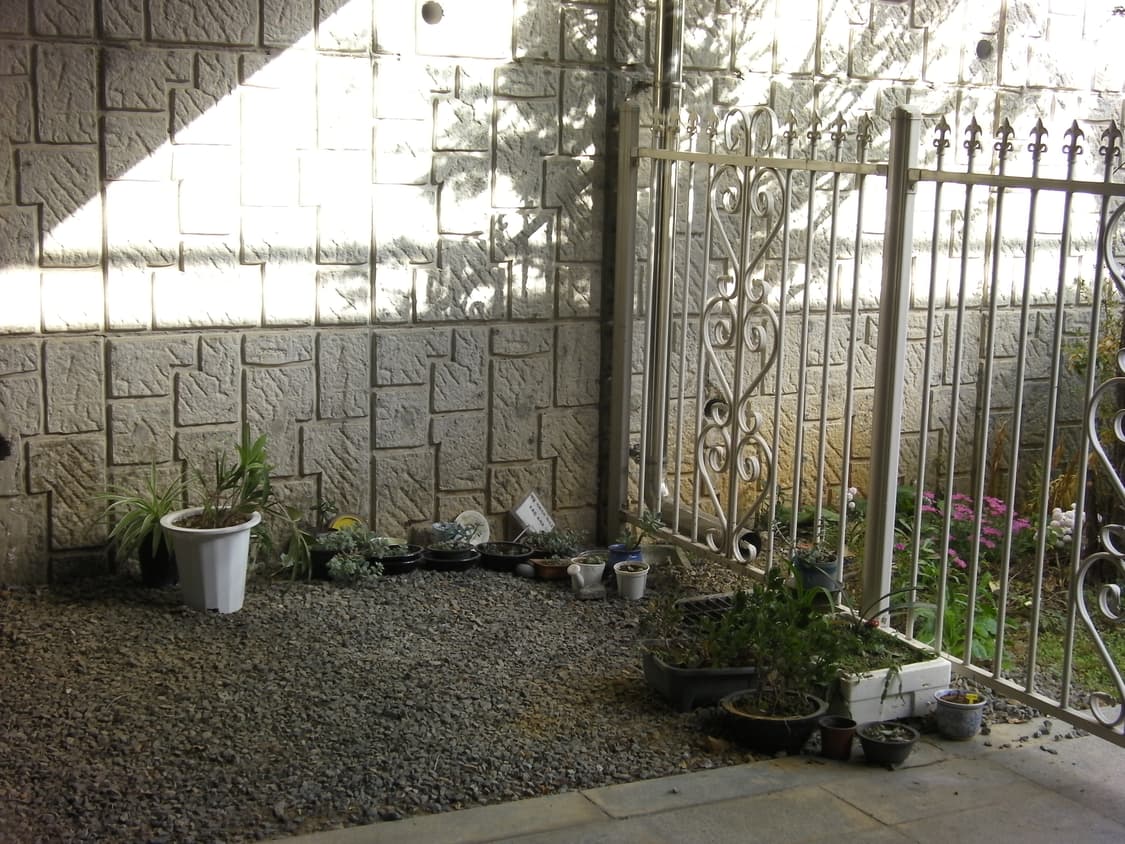 작례/민트급) sanyo xacti cg100 산요 작티 빈티지 캠코더 상품이미지10