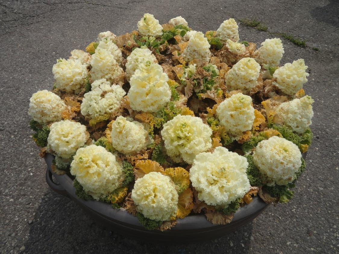 소니 사이버샷 dsc-h70 팔아요 상품이미지6