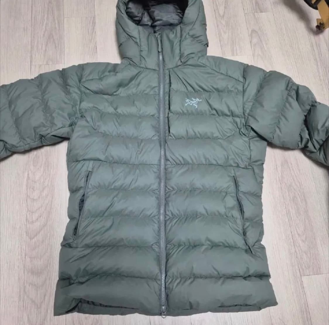 아크테릭스 토륨 후디 포리지 상품이미지1