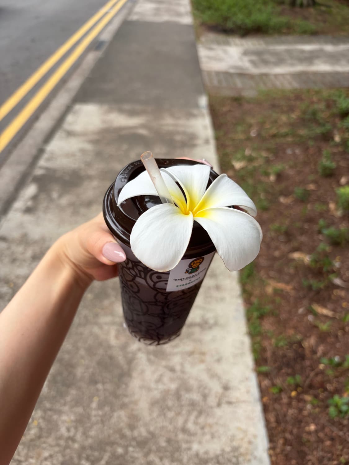 Sesu 님 상품이미지1