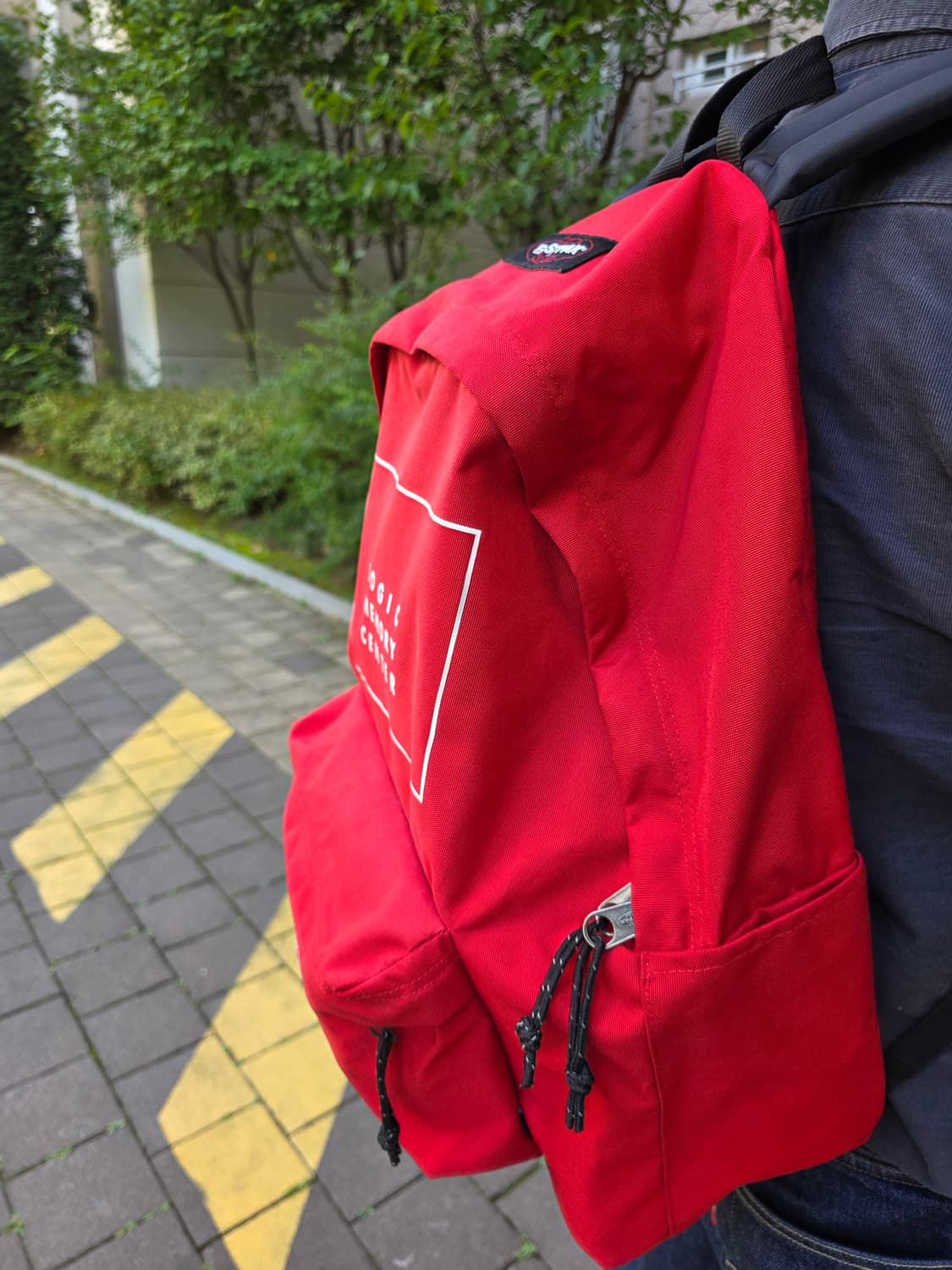 EASTPACK UNDERCOVER 백팩 페디드 파커 XL 상품이미지2