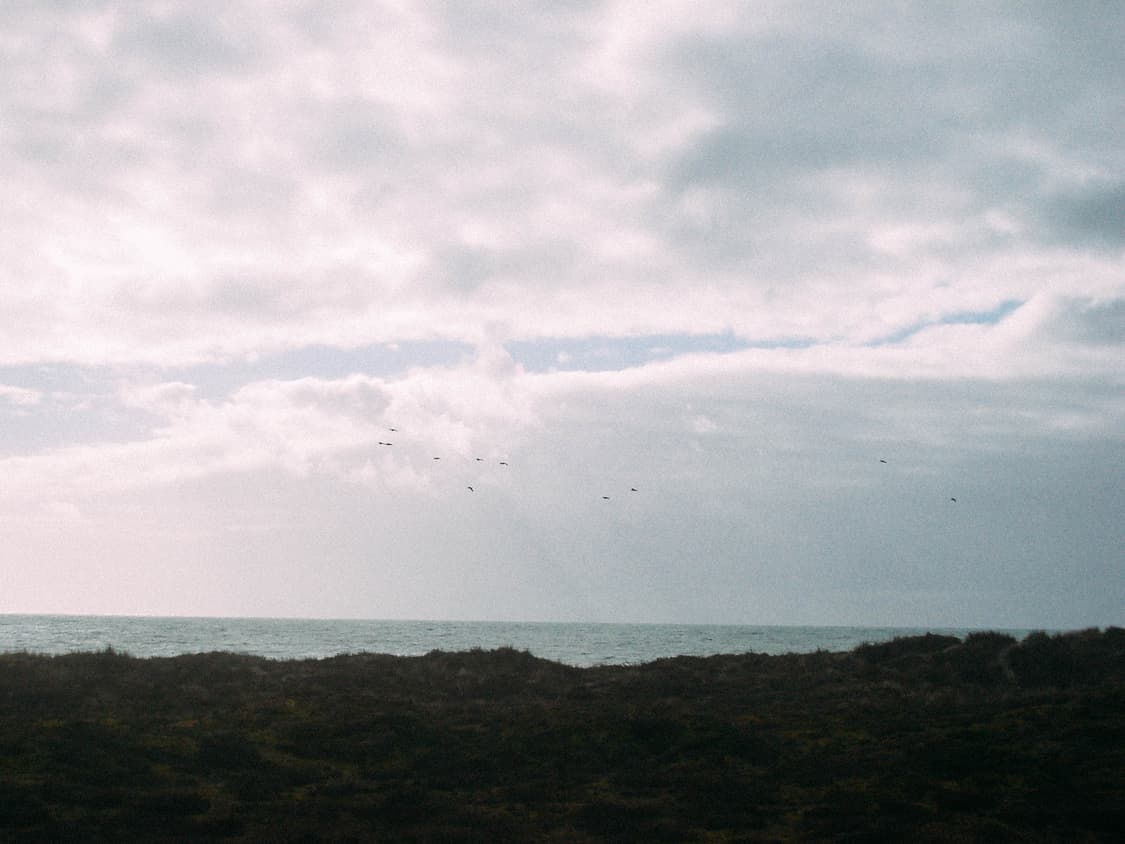 펜탁스 옵티오 Pentax Optio S5z 실버 상품이미지4