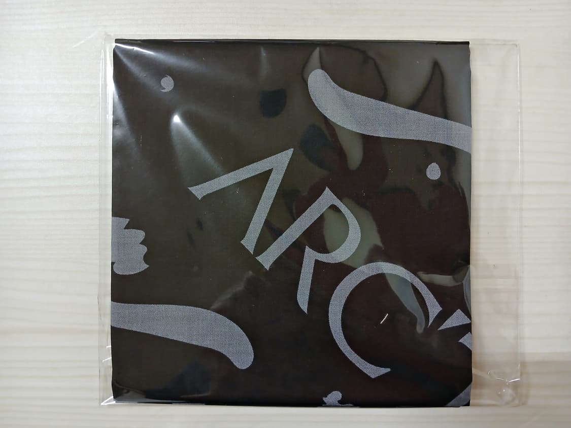 Arc'teryx Handkerchief(아크테릭스 소수건) 상품이미지8