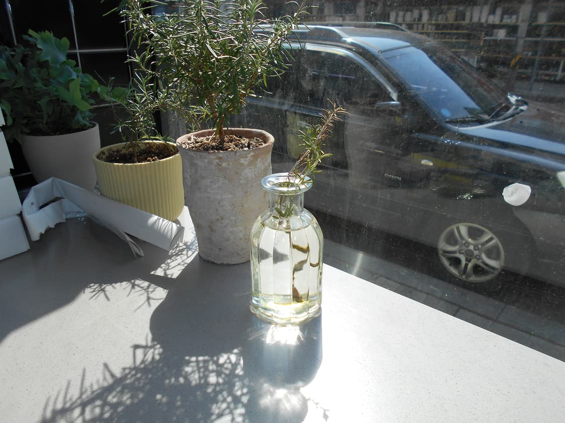 (작례!)Nikon Coolpix L32 디카 상품이미지4