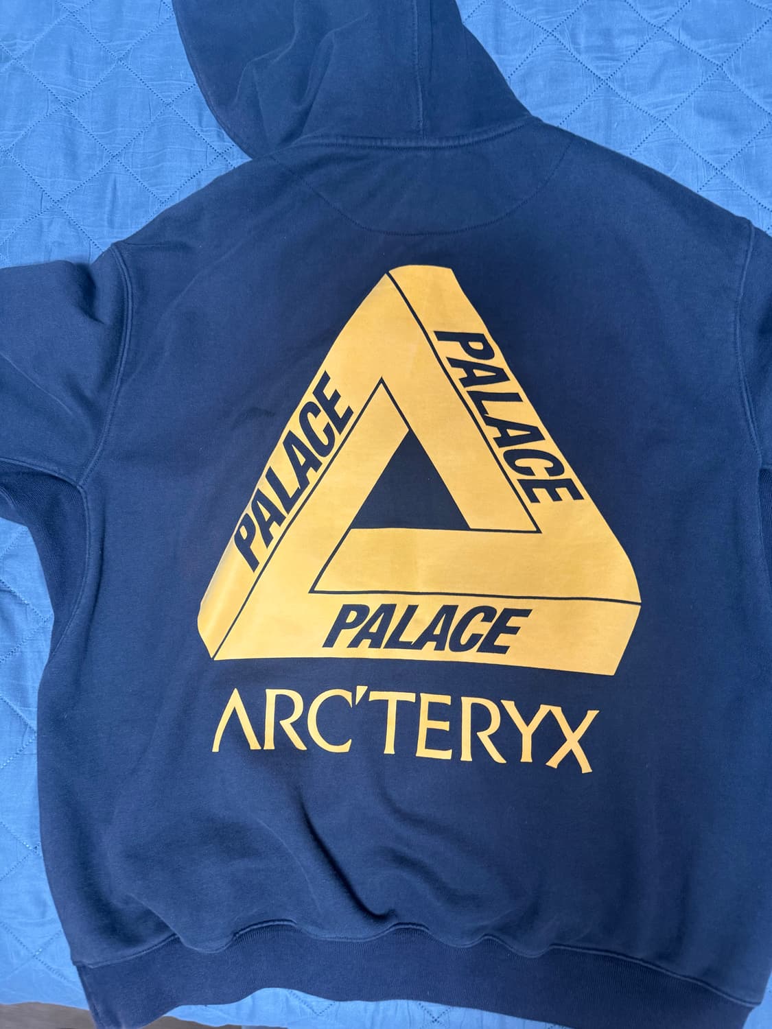 팔라스 아크테릭스 후드 상품이미지1