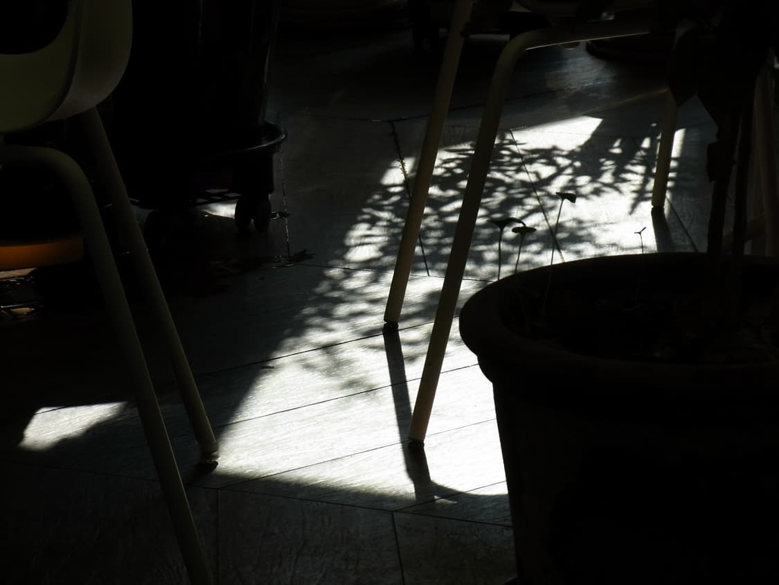 리코 Ricoh CX2 카메라 (작례) 상품이미지9