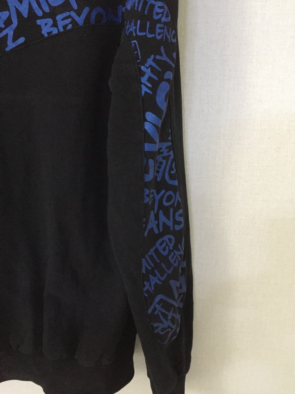 Evisu 후드티 상품이미지8