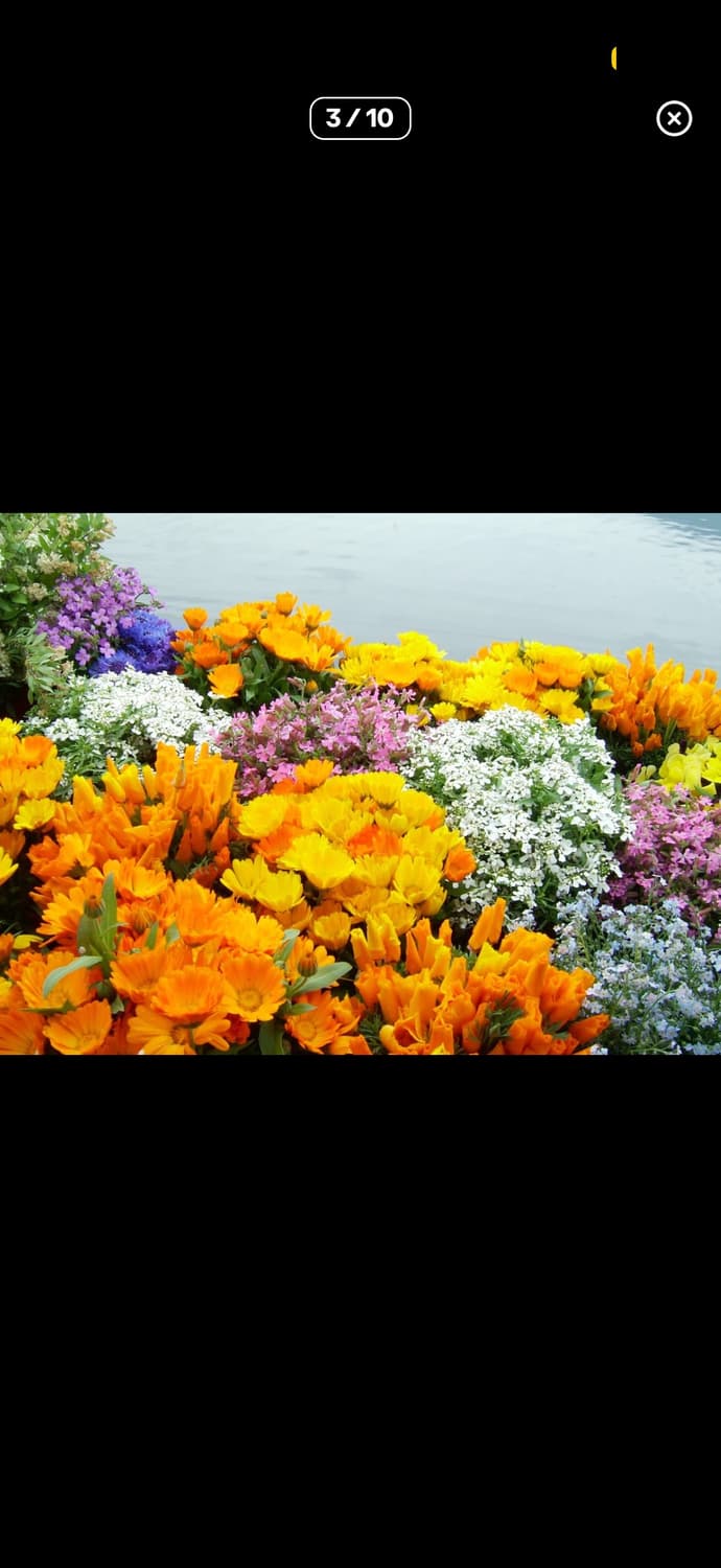 [하이엔드&초레어!] 후지필름 Finepix F700 디지털 카메라 상품이미지3