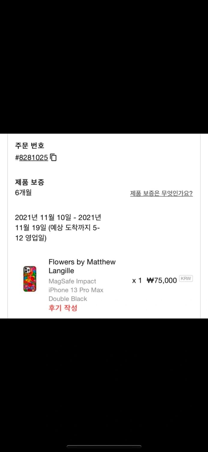 아이폰13 pro max 케이스티파이 케이스 상품이미지3