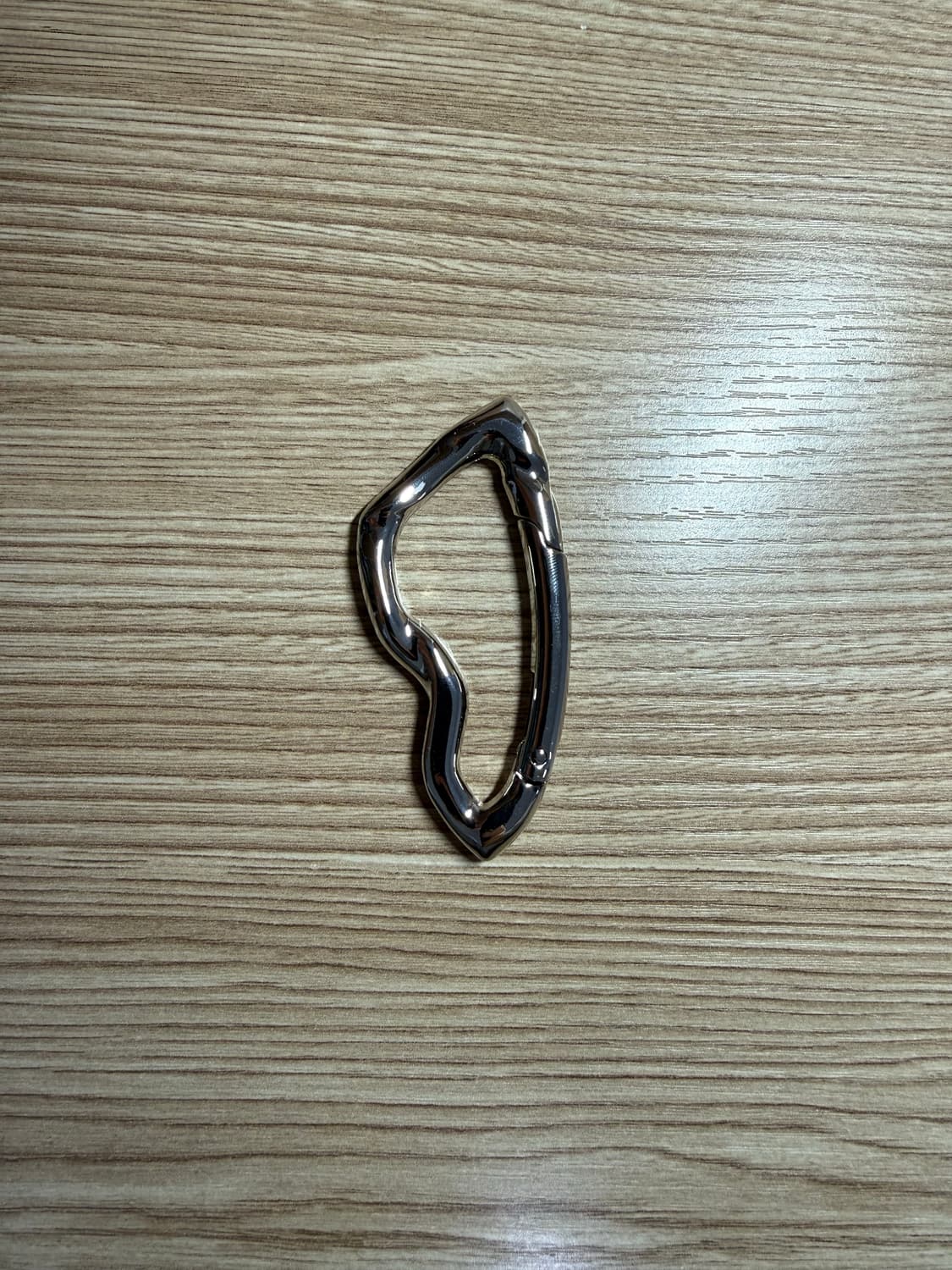 카라비너 키링 상품이미지1