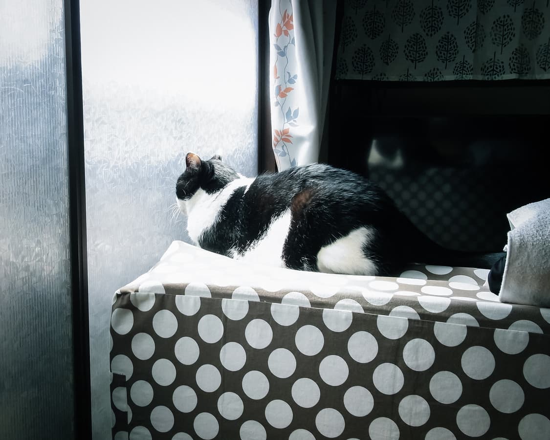 소프트포커스 기능에 스트릿 감성 한스푼  🎧리코 cx4 상품이미지3