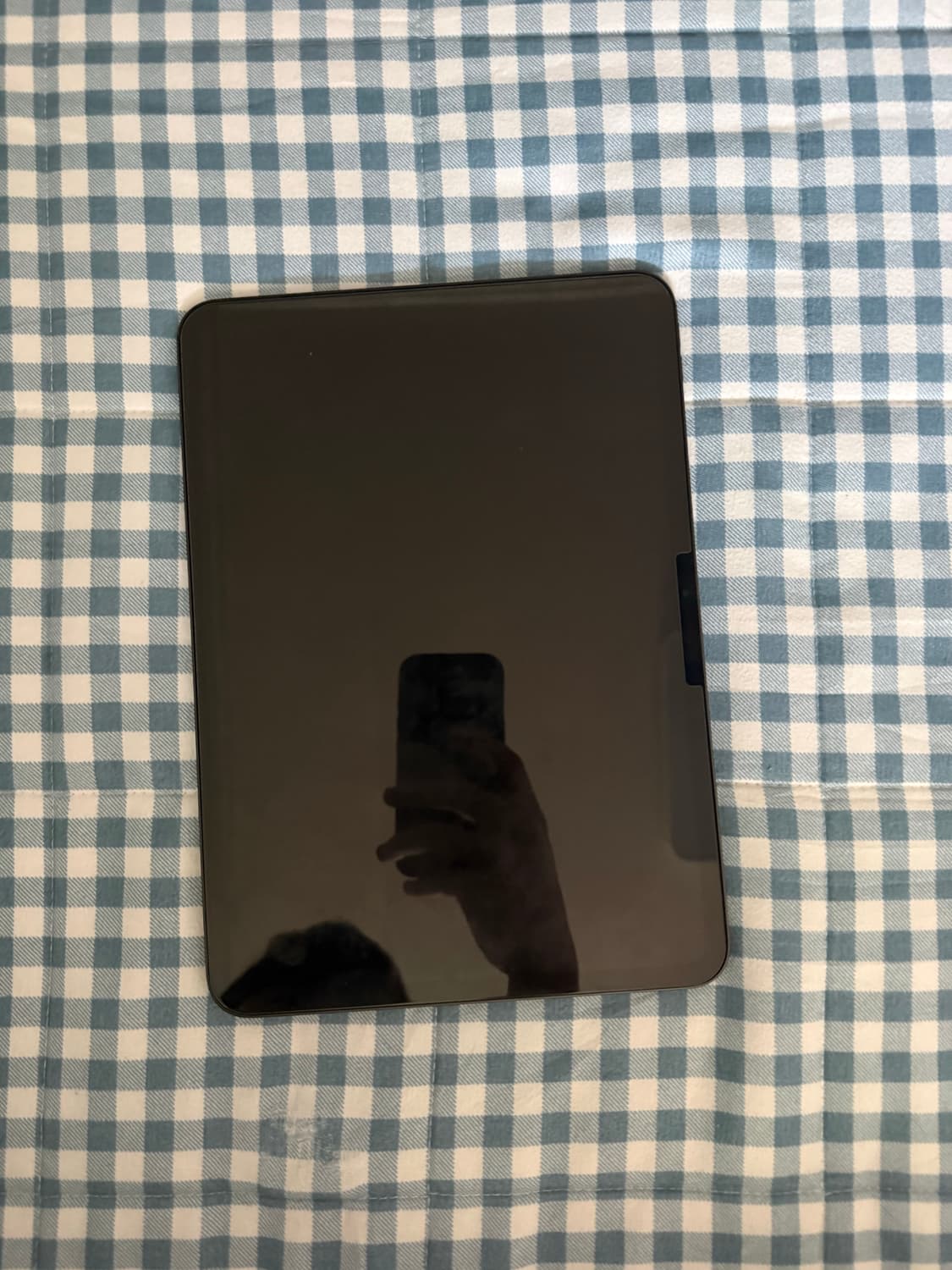 아이패드프로8세대 11인치 256기가 m5 상품이미지2